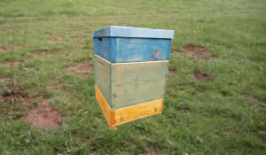 Mehr über den Artikel erfahren Mit dem Frühling kommt die Farbe