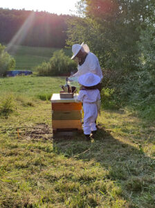 Naturgemäße Imkerei im Grünen mit Kindern
