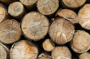 Mehr über den Artikel erfahren Ein Plädoyer für die gute alte Holzbeute