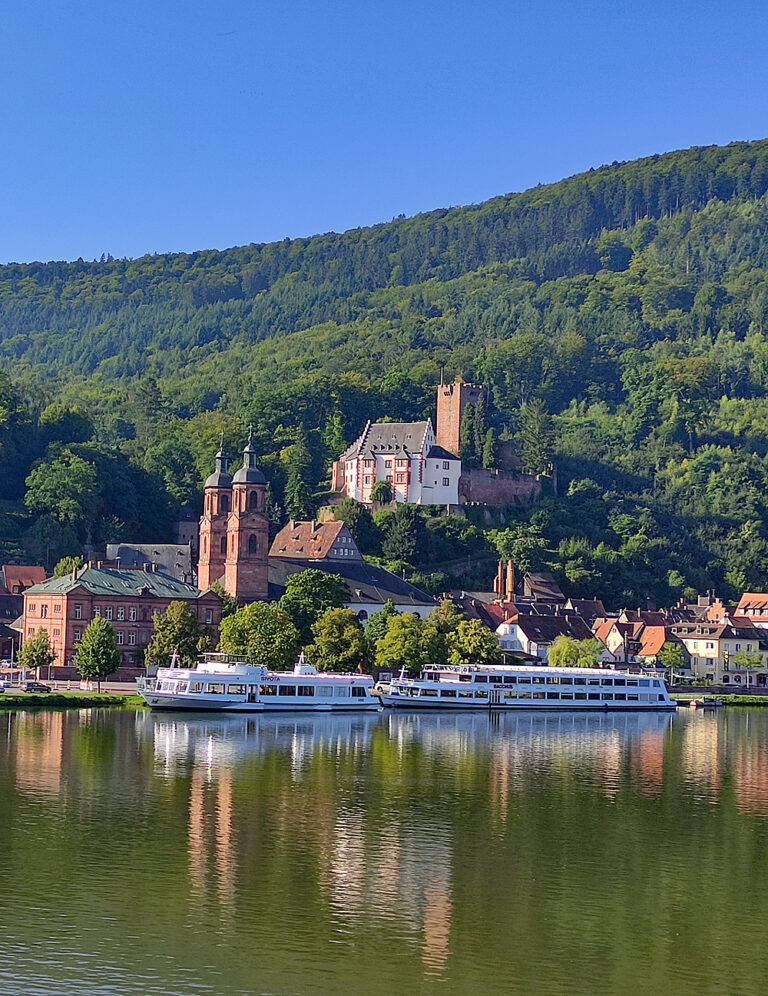 Miltenberg am Main in Churfranken