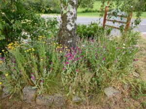 Mehr über den Artikel erfahren GASTBEITRAG: In fünf einfachen Schritten zum bienenfreundlichen Garten