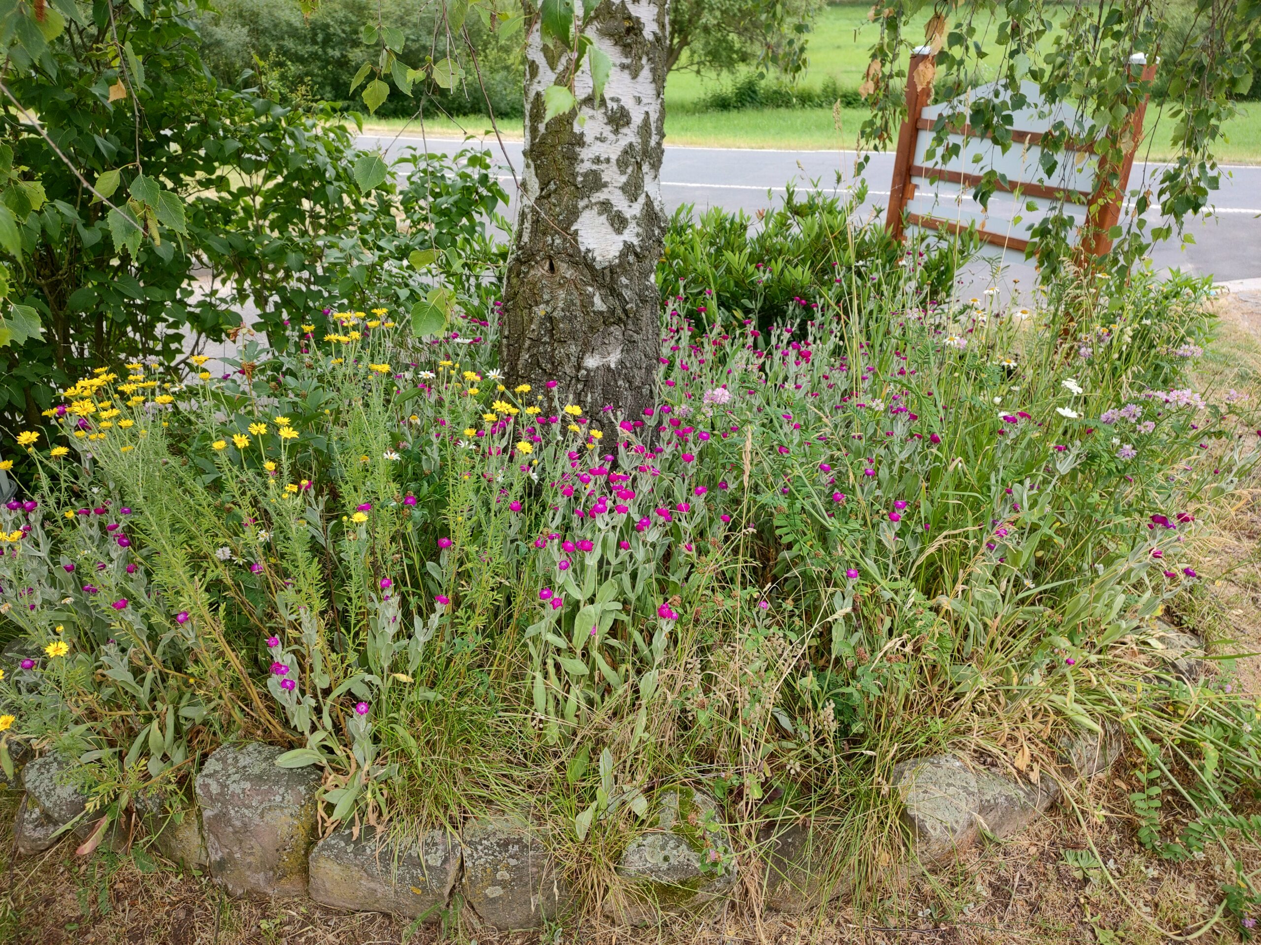 Du betrachtest gerade GASTBEITRAG: In fünf einfachen Schritten zum bienenfreundlichen Garten