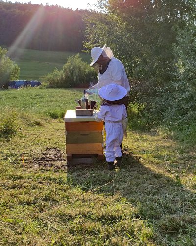 Naturgemäße Imkerei im Grünen mit Kindern